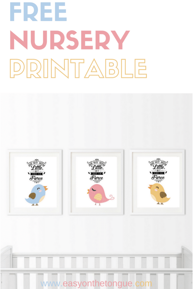 Celebrate the birth of a new baby – Free Birdie Printable