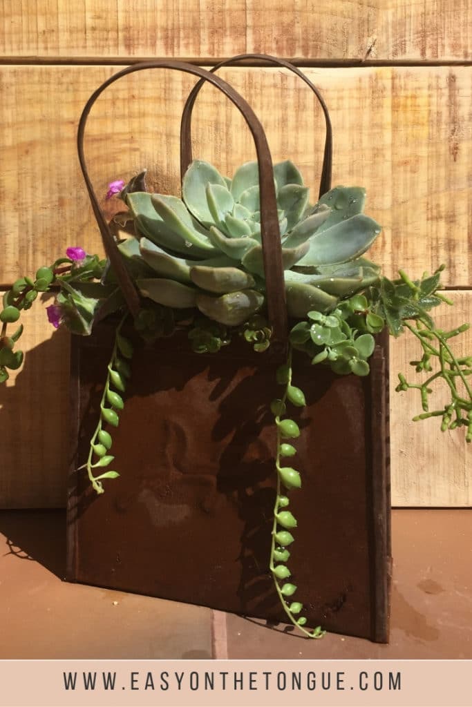 centrepiece with succulents 683x1024 How to create a Centerpiece with Succulents