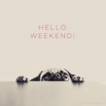 hello weekend by Its Lola the pug 150x150 Best weekend quotes to recharge and enjoy!
