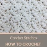 How to crochet Thicket stitch thicketstitch crochetstitches crochetthicketstitch 1 150x150 Crochet Thicket Stitch, youll love this crochet stitch